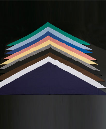 55ee9cbdabab1a4cc73530d095506bba_1519959